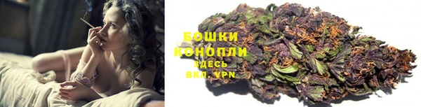 стаф Богородицк